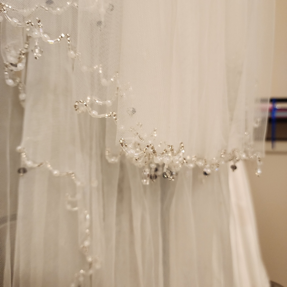 Veil - Picture 4 of 5